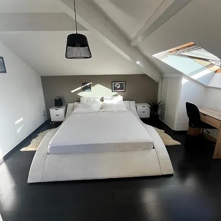 Kwatera prywatna Modern Loft In Annemasse 15 Mins To Geneva With Private Free Parking *