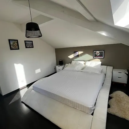 Modern Loft In Annemasse 15 Mins To Geneva With Private Free Parking *